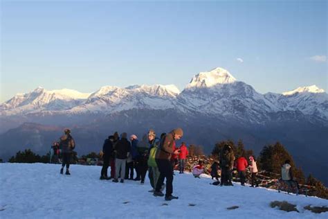 D Couvrez Le N Pal Jours De Trekking Et D Exp Dition Pour La Faune