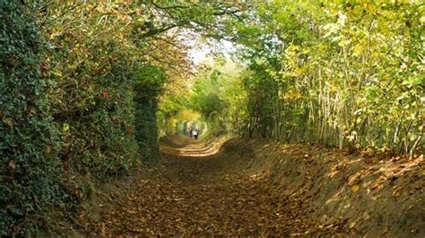 Heartwood Forest Visiting Woods Woodland Trust