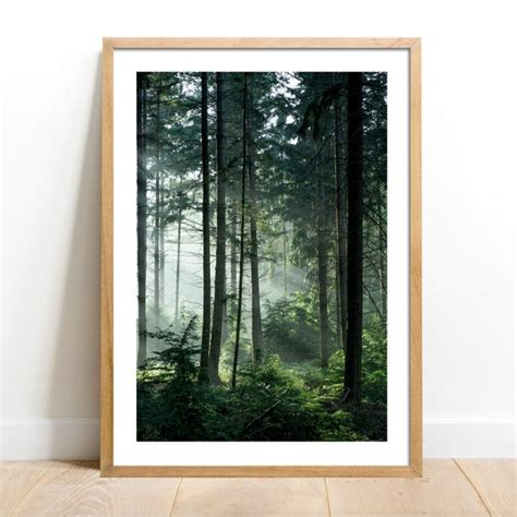 Forest Art Etsy