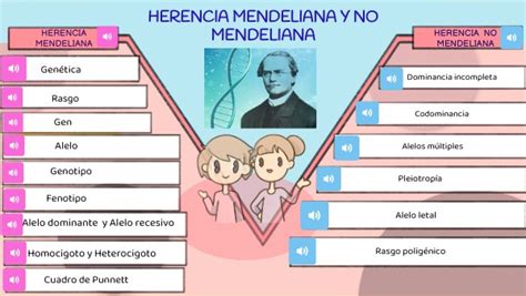Herencia Mendeliana y no mendeliana 