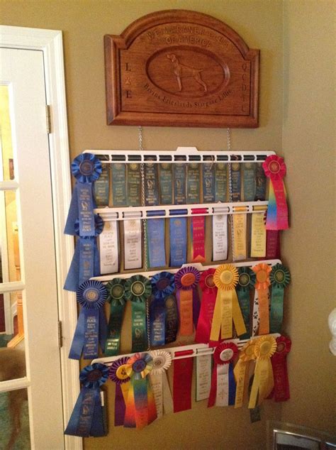 Dog Show Ribbon Display Ideas - IDEASQC