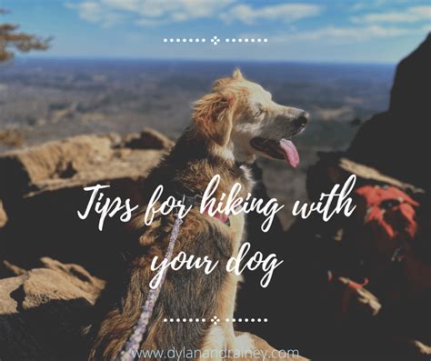 Hiking with your dog – Dylan & Rainey – Tips for enjoying your hike