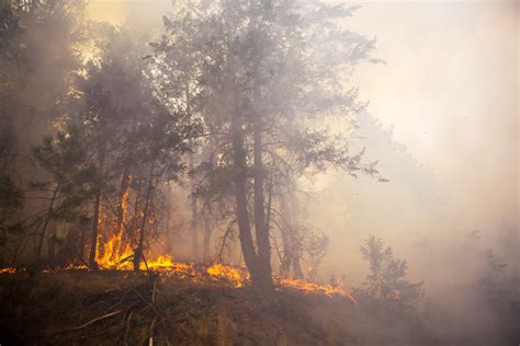 Okanogan Complex Washington Wildfire Is Now Largest In State History