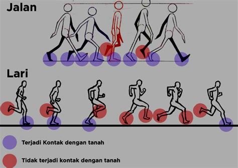 Pengertian Beserta Perbedaan Jalan Dengan Lari Secara Lengkap Ilmuips