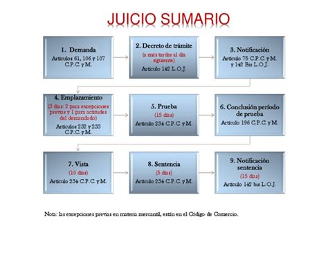 Esquema Juicio Sumario Pdf