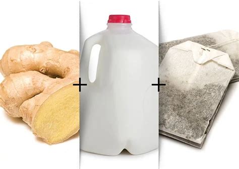 Bikini Boisson pour le corps Bromance Bien Être