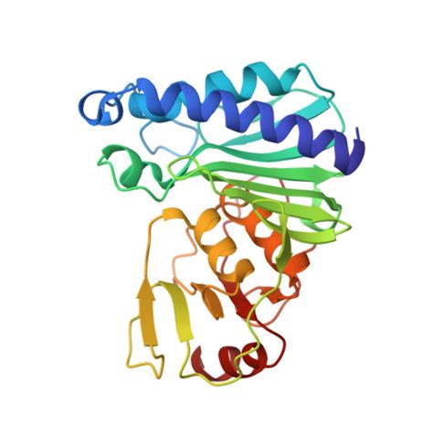 Rcsb Pdb Lbw Crystal Structure Of Apo Form P Of Dual Activity