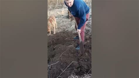 Холост - YouTube