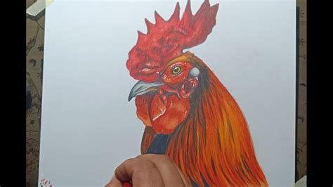 C Mo Dibujar Un Gallo Con L Pices De Colores Dibujo Lapicesdecolores