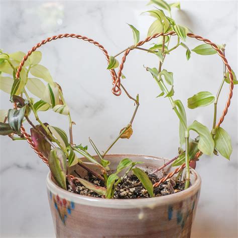 Twisted Copper Plant Stake Repurposed Copper Wire Plant Etsy