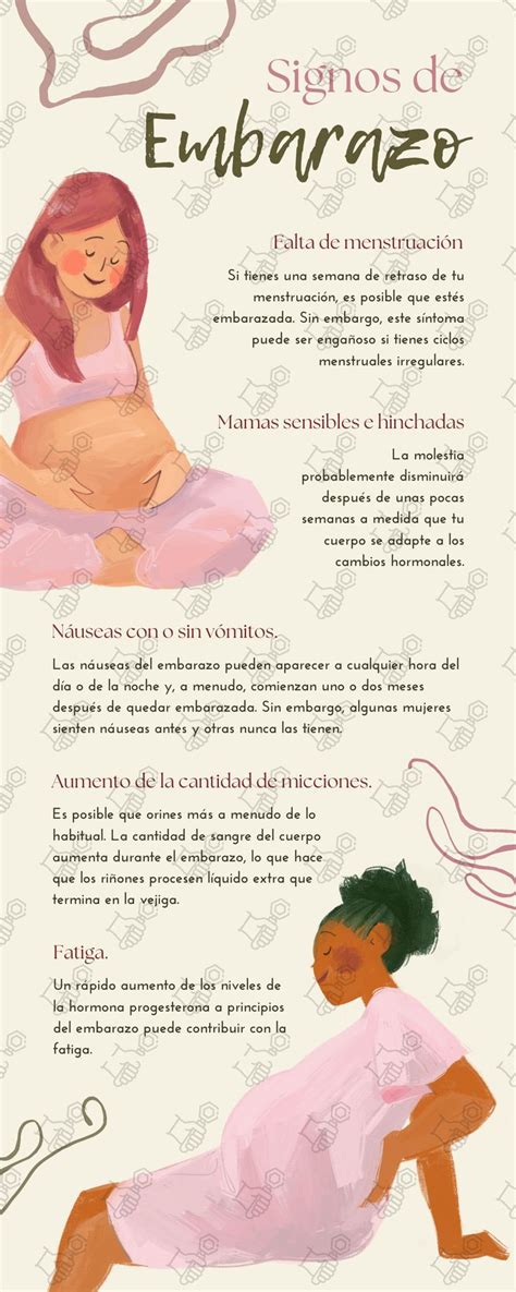 Infografía Señales De Embarazo