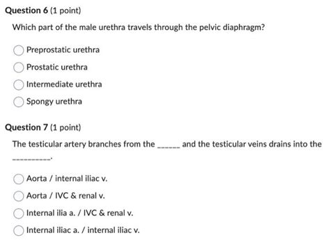 Solved The inguinal ring is the external opening of the | Chegg.com