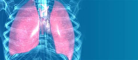 Idiopathic Lung Disease and its Symptoms and The Treatment.