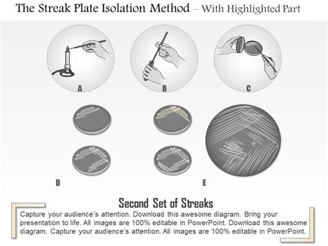 0614 The Streak Plate Isolation Method Medical Images For Powerpoint ...