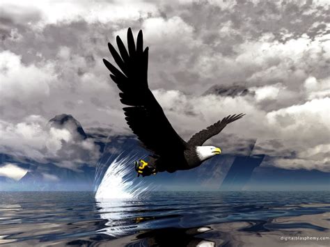 3d eagle wallpaper,bird,eagle,bald eagle,bird of prey,accipitriformes ...