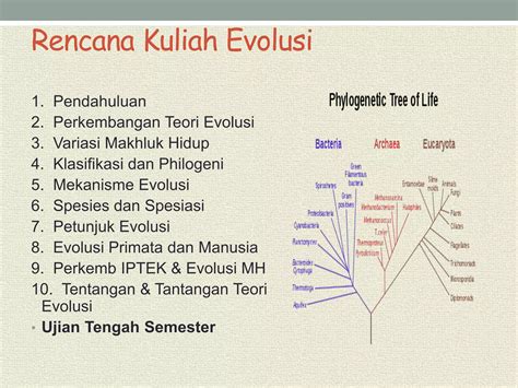 Perkembangan Teori Evolusi Ppt