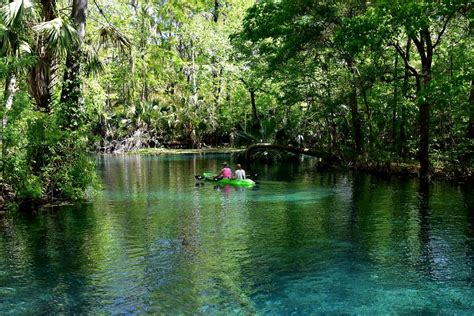 Silver Springs State Park: Wild Monkeys and Glass Bottom Boat Tours ...