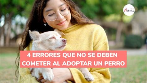 4 errores que no se deben cometer al adoptar un perro Vídeo Dailymotion