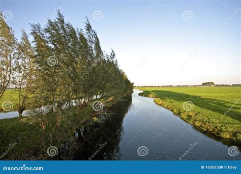 Typical Dutch Landscape Stock Photo Image Of Farmland