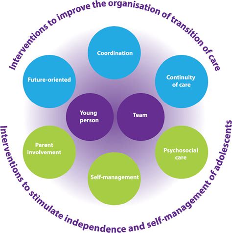 Transitional care framework 'On Your Own Feet' (Van Staa et al., 2020 ...