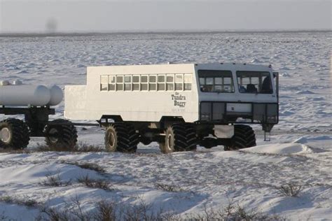 The Tundra Buggy Adventure - Day Tours (Churchill) - All You Need to ...