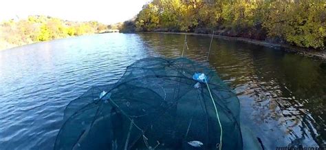 Ловля раков на китайские раколовки. Тест лучшей раколовки-зонтик ...