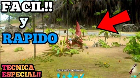 C Mo Tamear Un Tapejara En Ark Mobile Youtube