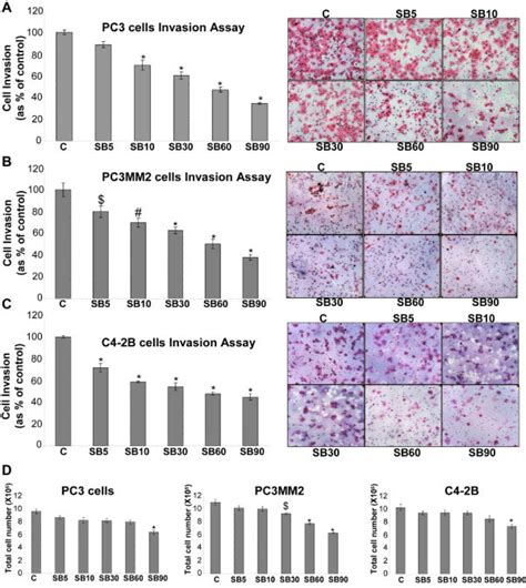 Effect Of Silibinin On The Invasiveness And Viability Of Human PCA