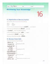 Reviewing Your Knowledge Exercise Pdf Course Hero