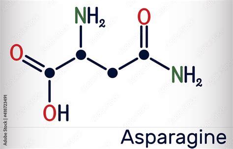 Asparagine, L-asparagine, Asn molecule. It is non-essential amino acid, used in the biosynthesis ...