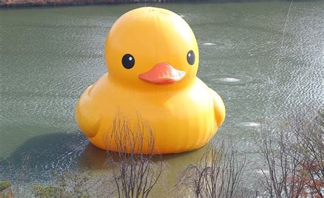 Giant Rubber Duck Returns To South Korea Be Korea Savvy