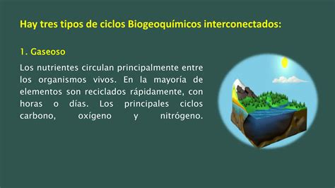 Ciclos Biogeoquimicos Pptx