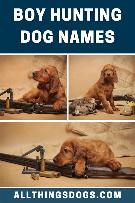 Boy Hunting Dog Names | Hunting dogs, Hunting dog names, Dog names