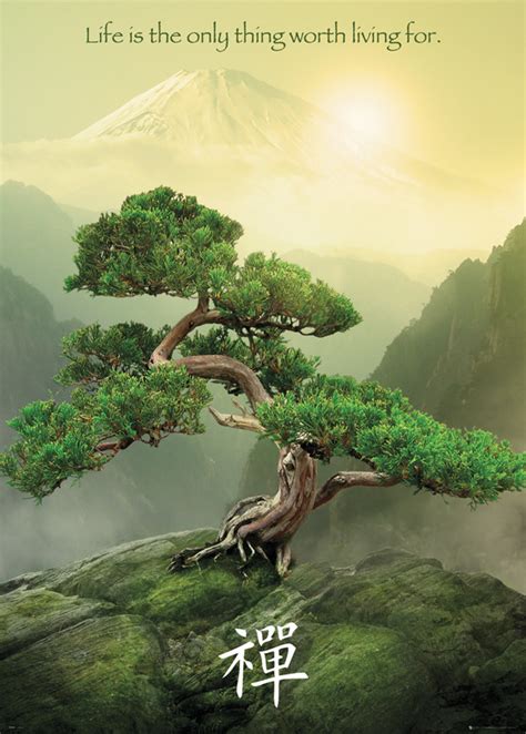 Zen Arbre Poster Affiche Acheter Le Sur Europosters Fr