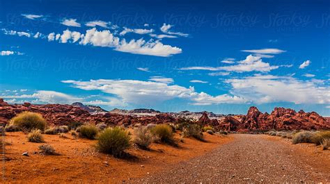 "Path In The Nevada Desert" by Stocksy Contributor "ALAN SHAPIRO" - Stocksy