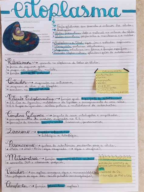 Resumo Sobre O Citoplasma - Citoplasma - Resumo Completo | Citoplasma mapa mental, Citoplasma e ...