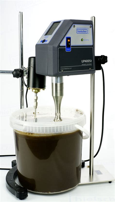 Mushroom Real Extracts Are Becoming The Gold Standard For Supplements - RYZE Superfoods