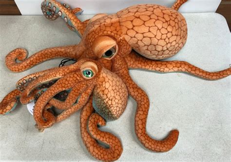 Plush Octopus Toy – stjohnspice.com