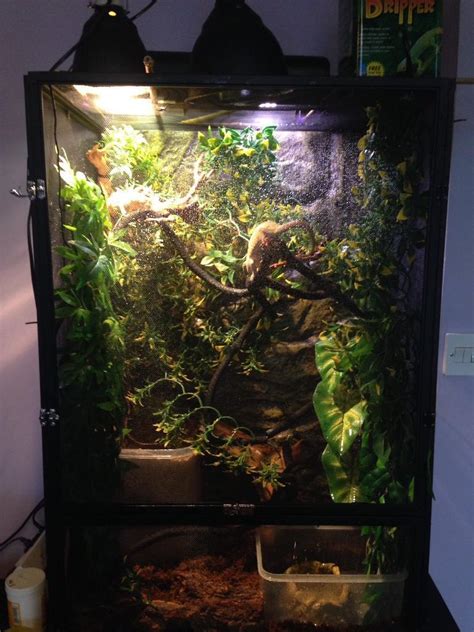 Exoterra Arboreal Reptile Vivarium With All Accessories Chameleon Not