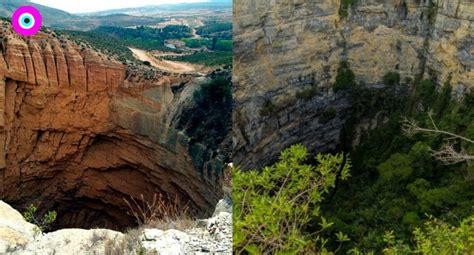 China descubren bosque subterráneo