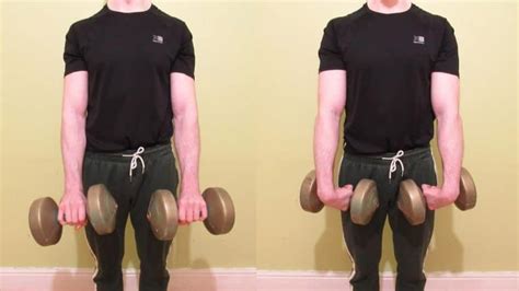 Standing Wrist Curl With A Barbell Forearm Tutorial