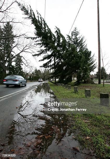 Fallen Powerlines Photos And Premium High Res Pictures Getty Images