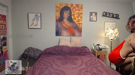 NORMA STITZ PRODUCTIONS NORMA STITZ YEAR ROUND BIKINI MP FORMAT