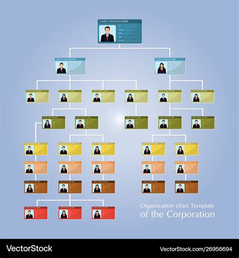 Organizational corporate flow chart template Vector Image