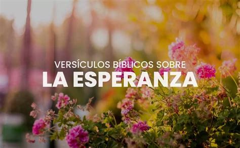 70 Versículos de Esperanza y Confianza en Dios Citas NVI