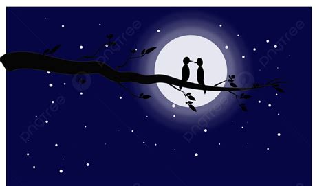 Dark Night Sky Illustration With Tree Branch And Birds Background Dark