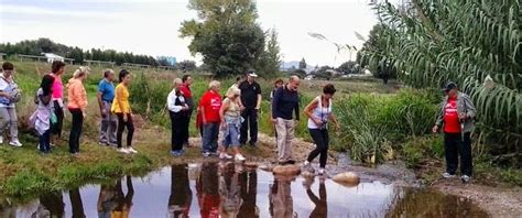 Viaje Ornitol Gico A Los Secanos De Lleida Grupo Local Seo Barcelona