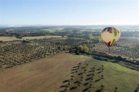 Premium Photo View Of Hot Air Balloon Flying Over Land
