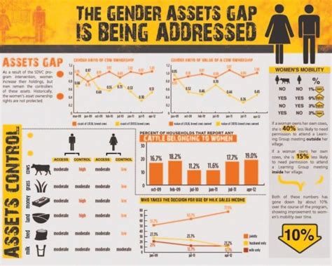 Genered Assets Infographic Datassist