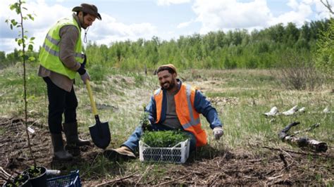 Sustainable Agriculture Cultivating A Greener Future